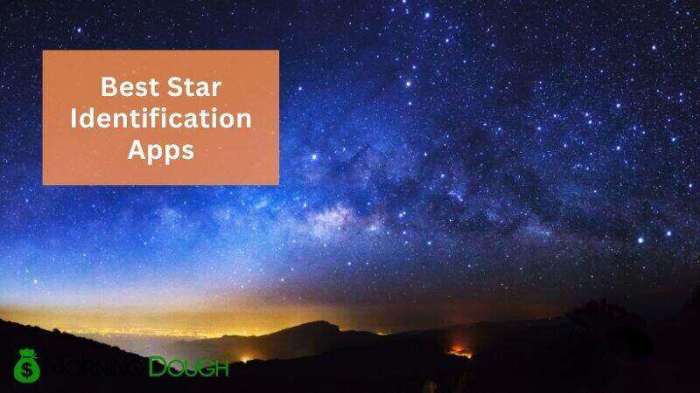 Artificial Intelligence App for Identifying Stars An Overview