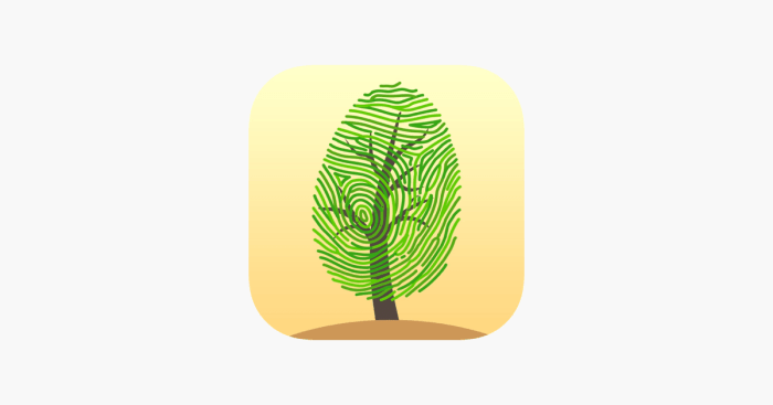 Artificial Intelligence App for Identifying Trees A Detailed Analysis